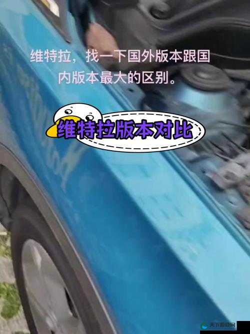 国产一区二区区别有什么说法:解析国产影片的区域差异
