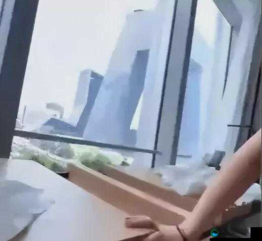 张津瑜落地窗酒店事件背后的真相与反思