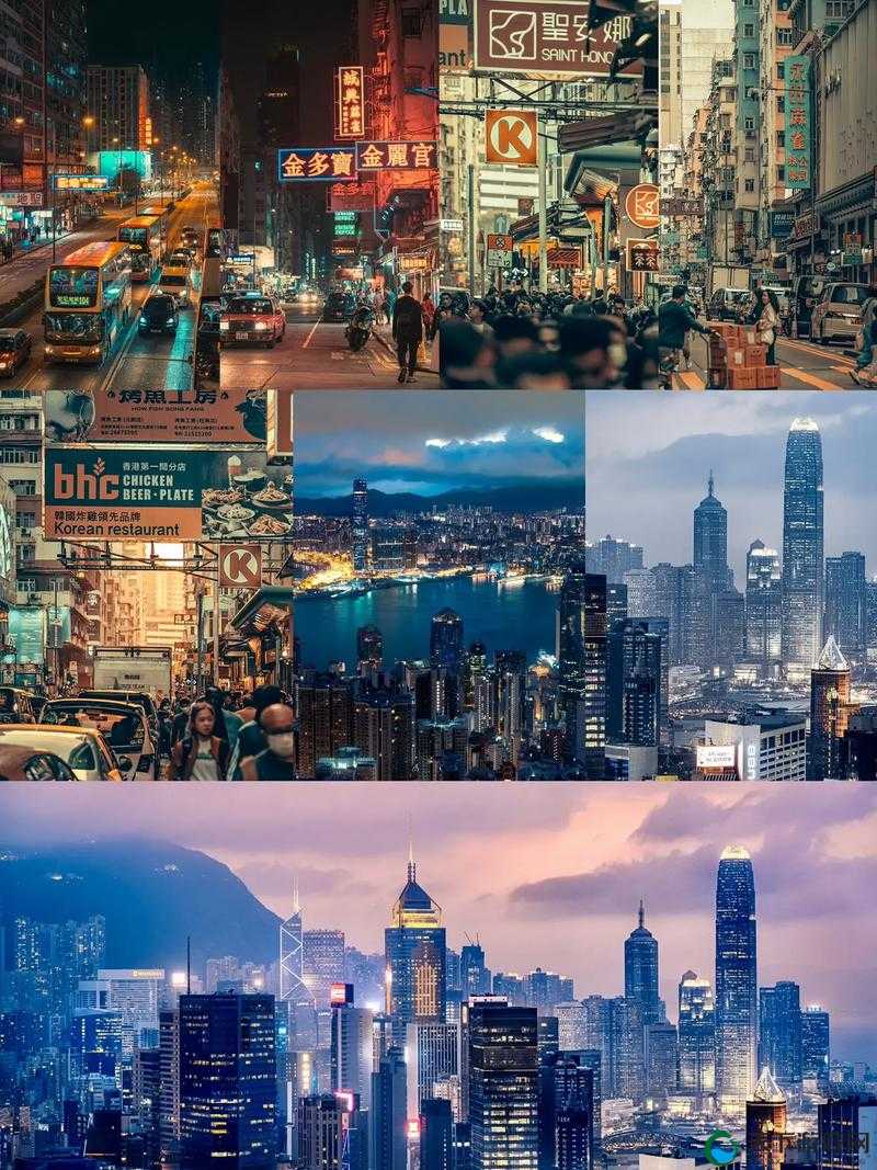 都市色网:时尚潮流与色彩的交汇之地