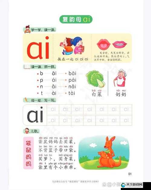 韵母攻略第一版本详细解读与实用技巧分享