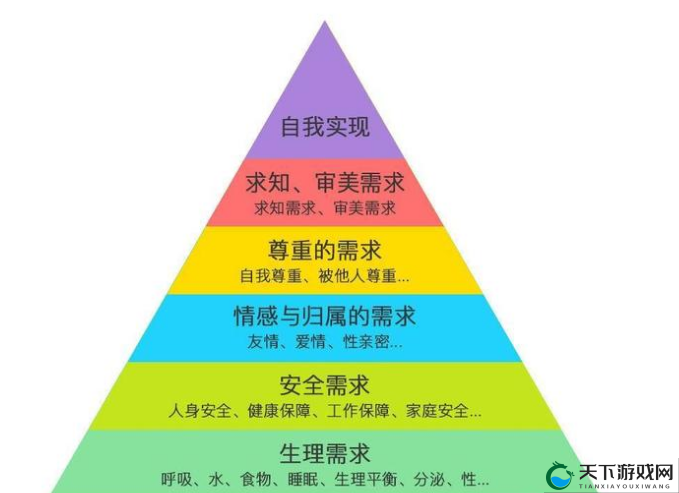 深入后室 20 版本详细解析-全方位多角度深度剖析其内容特色