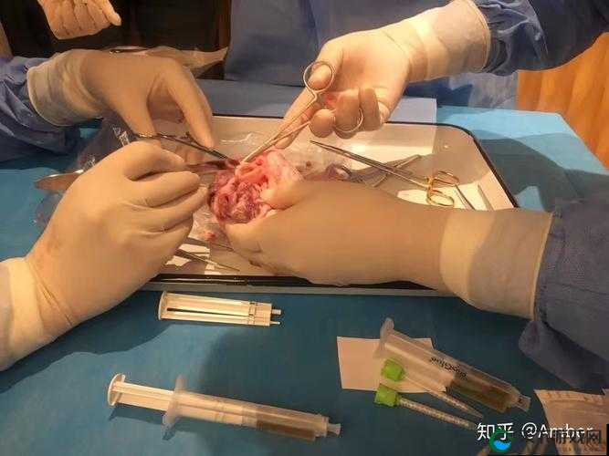 伽罗ちゃんへの手術名冪:探究其背后的医学奥秘与意义