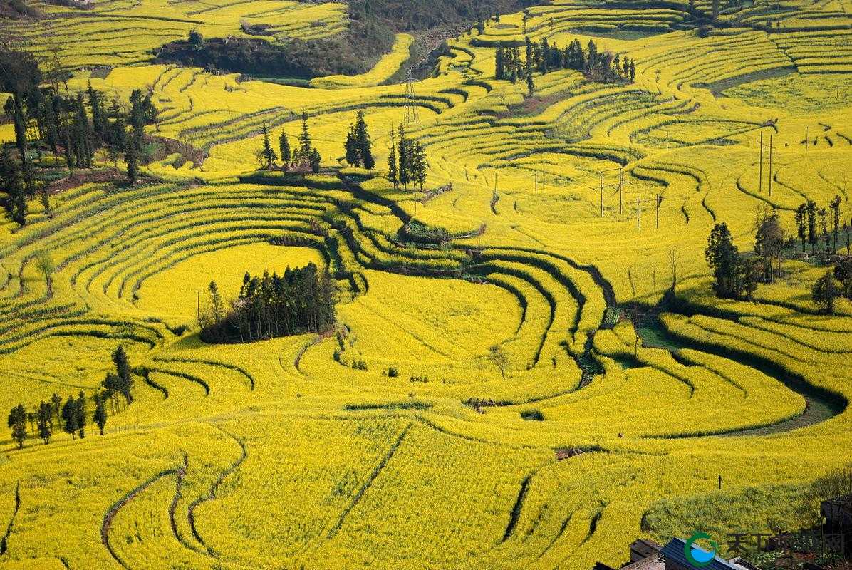 大地资源网 5:一个提供丰富资源信息的重要平台