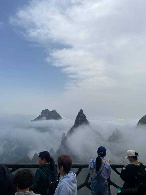 户外插 bbbb :带你领略大自然中的独特魅力与乐趣