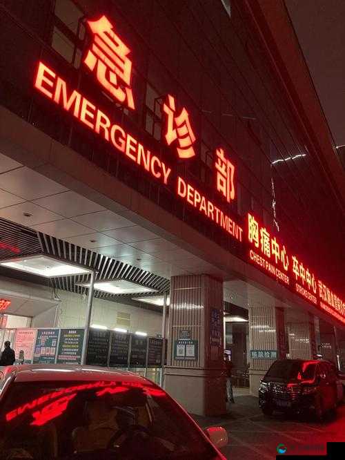 夜幕下的急诊室 2:生死时速中的坚守与希望
