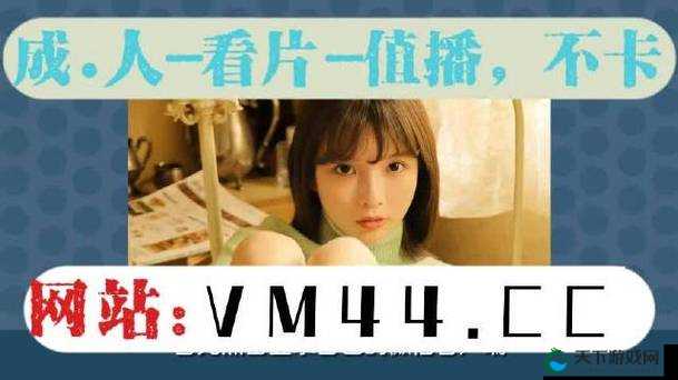 欧亚专线欧洲 S 码 WMY 全部资讯:探索未知的精彩之旅