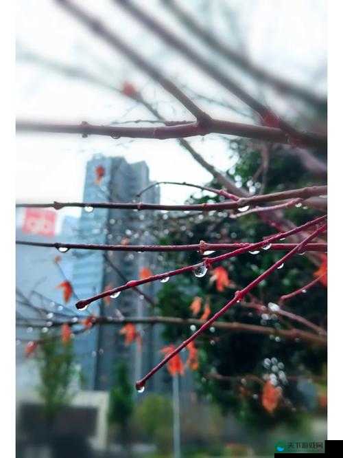 室外春雨绵绵,室内欢声依旧,别样春日欢乐时光
