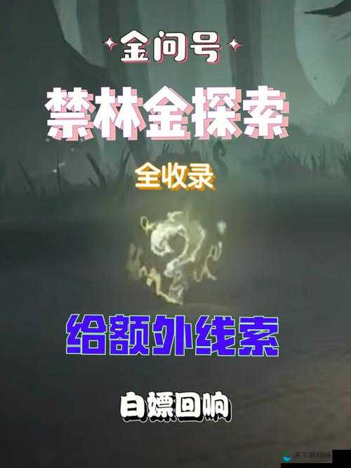 哈利波特魔法觉醒,深入探索魔咒课的奥秘