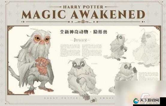 哈利波特魔法觉醒神奇动物保护课打法一览