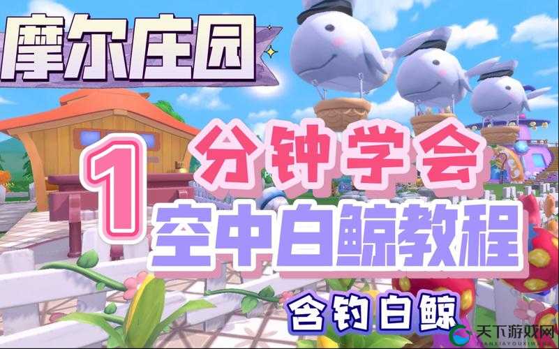 摩尔庄园手游白白鲸喷泉飞起来攻略,资源管理的艺术