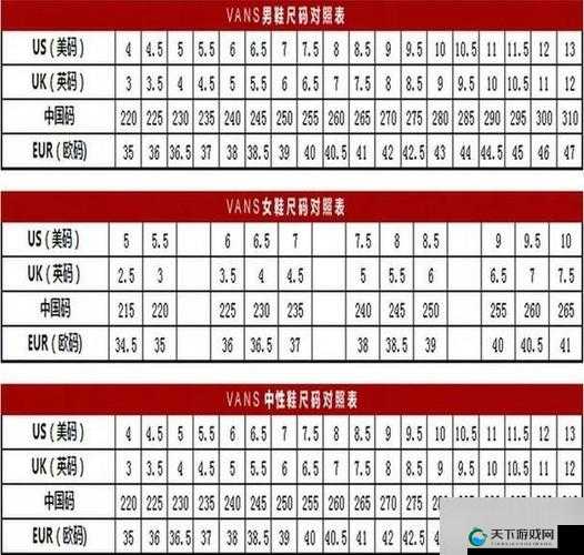 亚洲专线 S 码和 M 码的区别:具体差异详细解读与对比分析