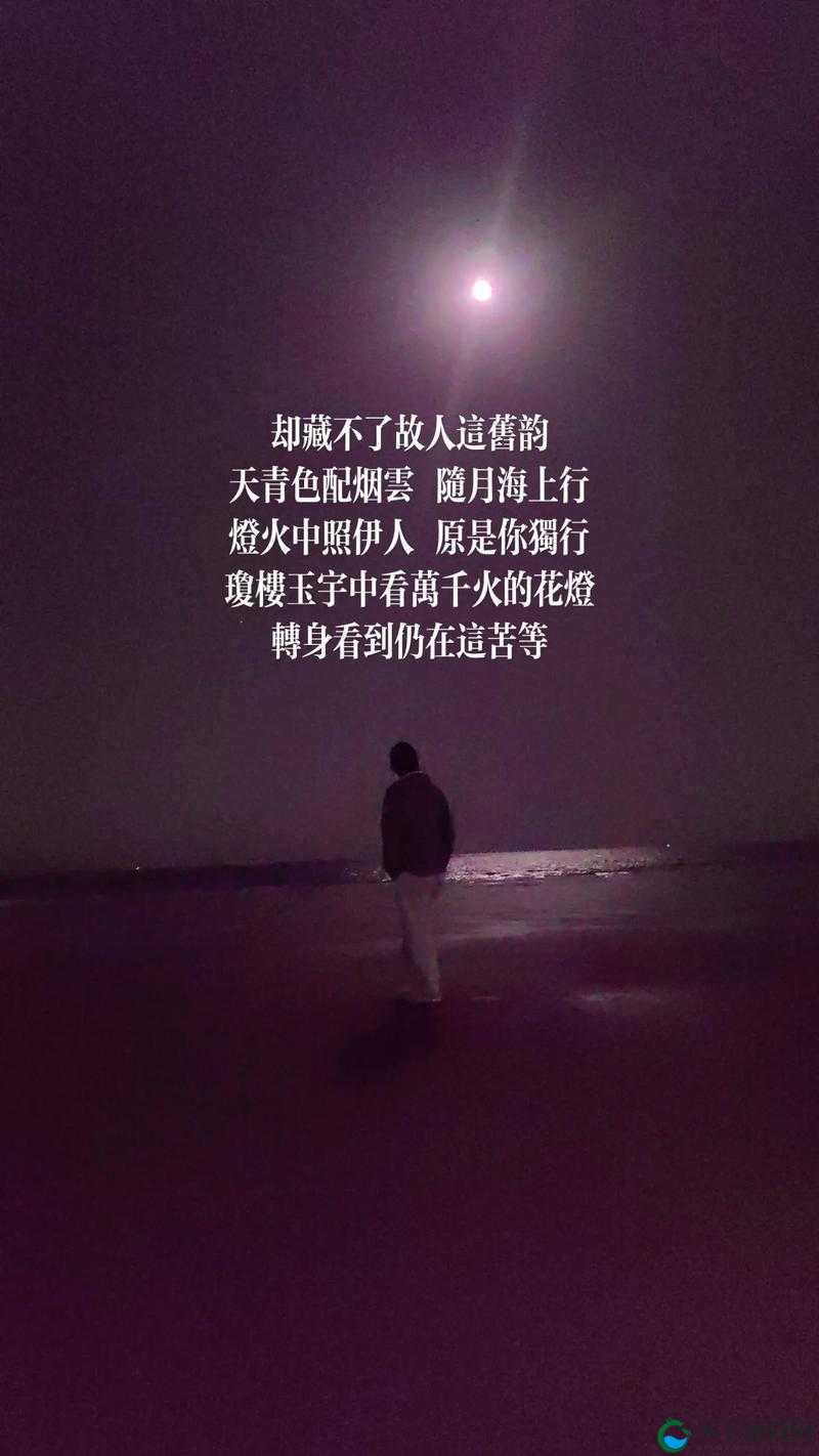 探寻神秘亚洲:www.亚洲最大夜色伊人的背后故事