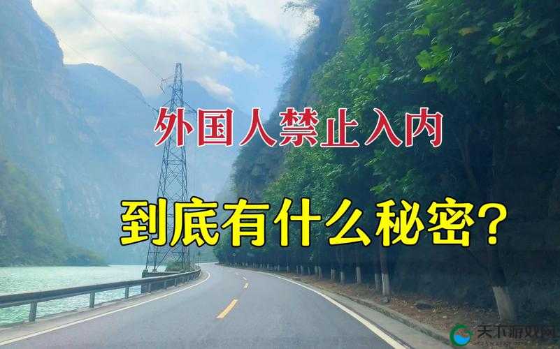 禁密视频下载视频:探索其背后的隐秘与风险