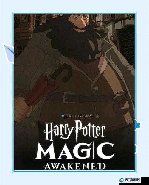 魔法世界的再探索,哈利波特,魔法觉醒的深度解析