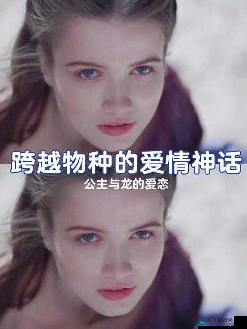 人与兽乂乂乂：跨越物种的情感纠葛