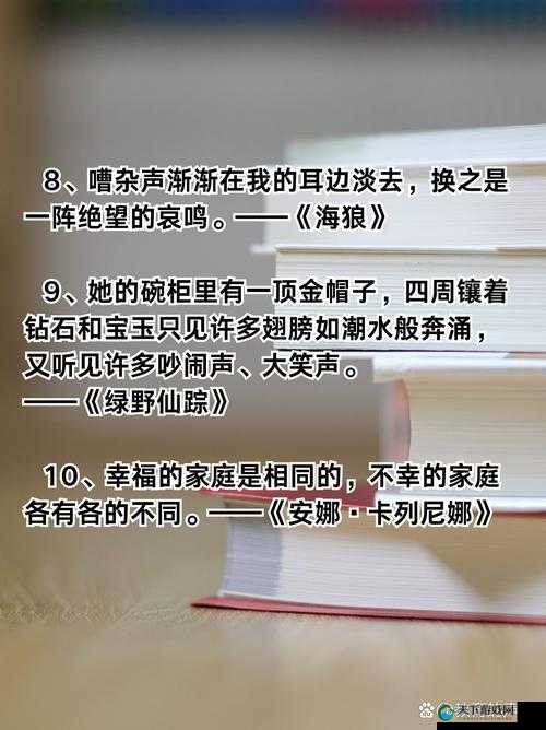 怡红宛一二三四五的奇妙故事与传奇历程
