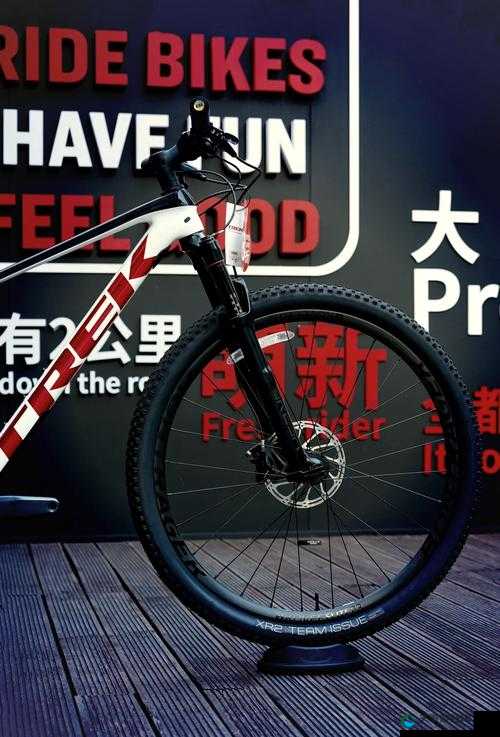 男男车车好快的车车长图：激情速度与别样魅力