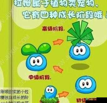 摩尔庄园手游拉姆花坛获得攻略