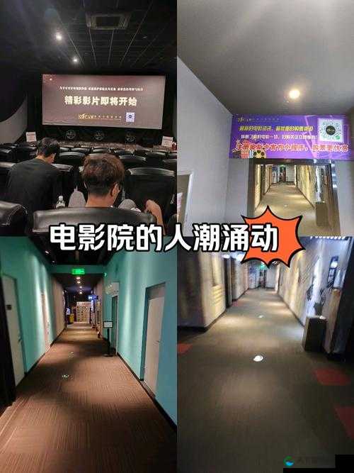 噼里啪啦免费高清看——畅享极致观影盛宴