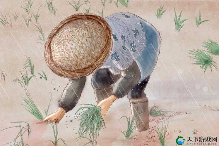 插秧七十二招式图片:传统农耕技艺的精彩展现与传承