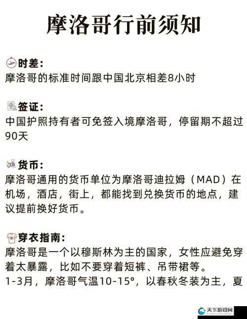 天美麻花果冻苏清歌孟孟:一段充满奇幻色彩的精彩之旅