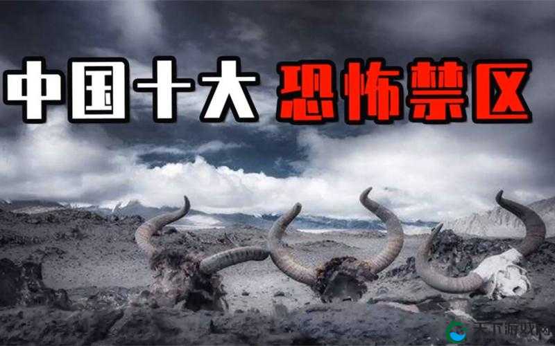 探索神秘 51 无人区:揭秘码一二三四区别图片背后的未知世界