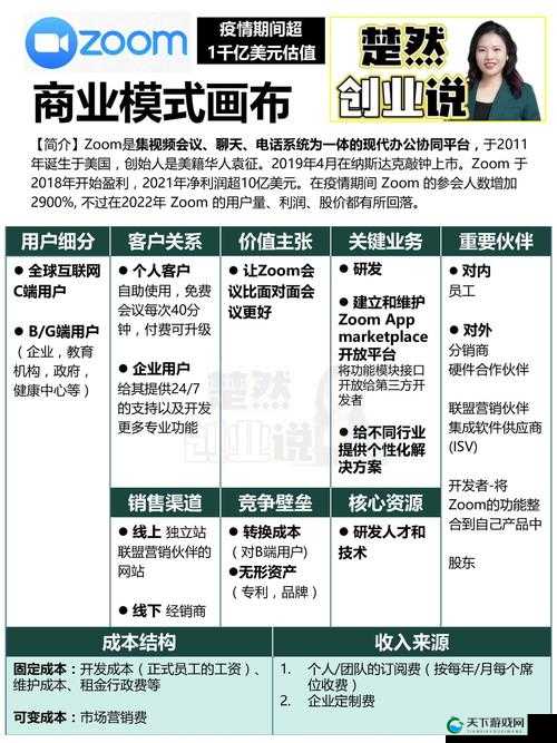 俄罗斯 Zoom 人与 Zoom 哪个好:深入对比分析与探讨