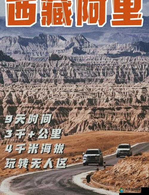 无人区一码二码三码 4 码区探秘之旅