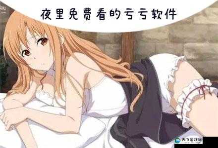 夜里 18 款禁用 B 站入 APP 软件:了解这些被禁背后的原因