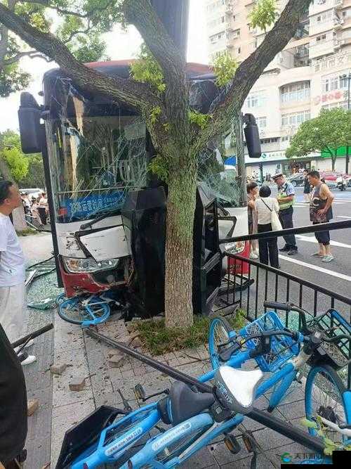 撞击的速度越来越快公交车:一场即将失控的城市危机