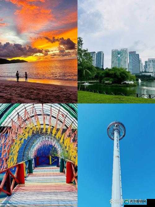 拿你的 jcb 我：开启一场别样的奇妙之旅
