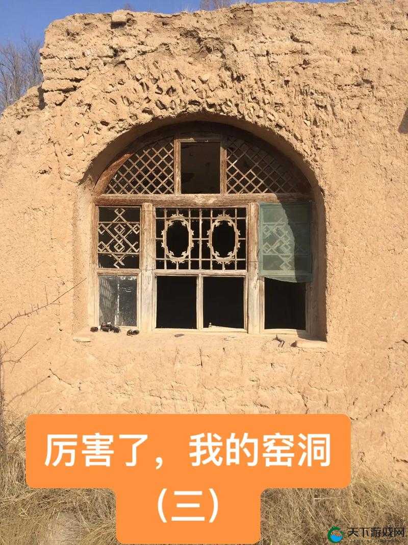 哥伦布的窑洞双男主哪里可以看:相关影视作品观看渠道探寻