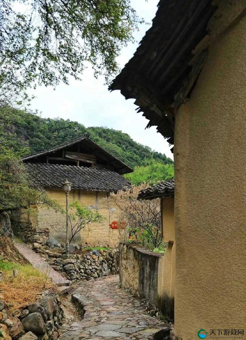 江湖悠悠,解锁村落贡献秘籍,助你成为村落之星