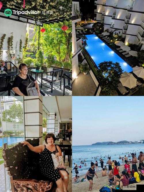 亚洲天堂 H 网:畅享极致私密精彩之旅