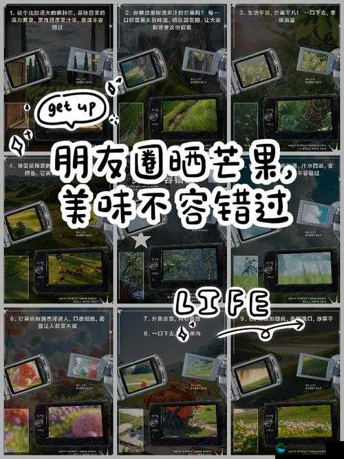 1000 部禁止芒果视频今日更新:精彩内容不容错过