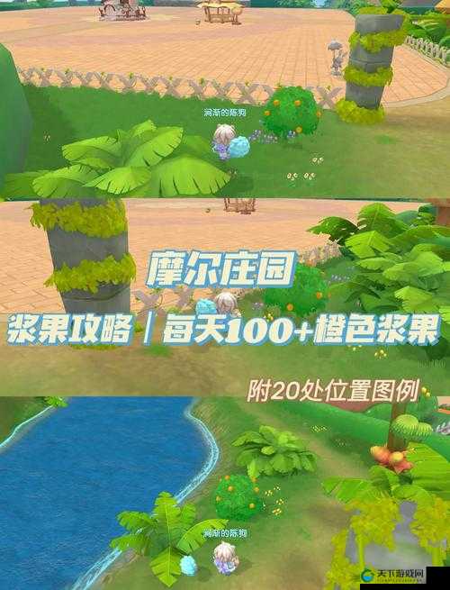 摩尔庄园手游滑梯获得全攻略，打造你的梦幻乐园