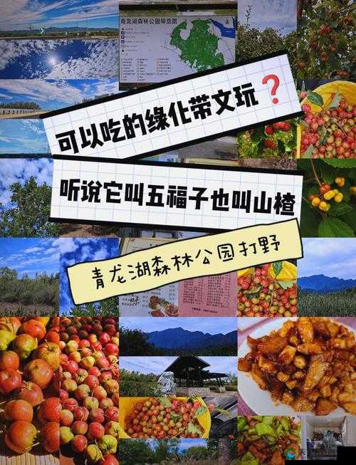 城市情侣打野最好的地方:这些私密景点你知道几个