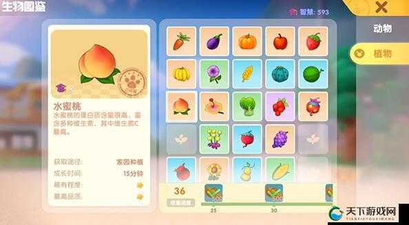 摩尔庄园手游水蜜桃的全方位攻略