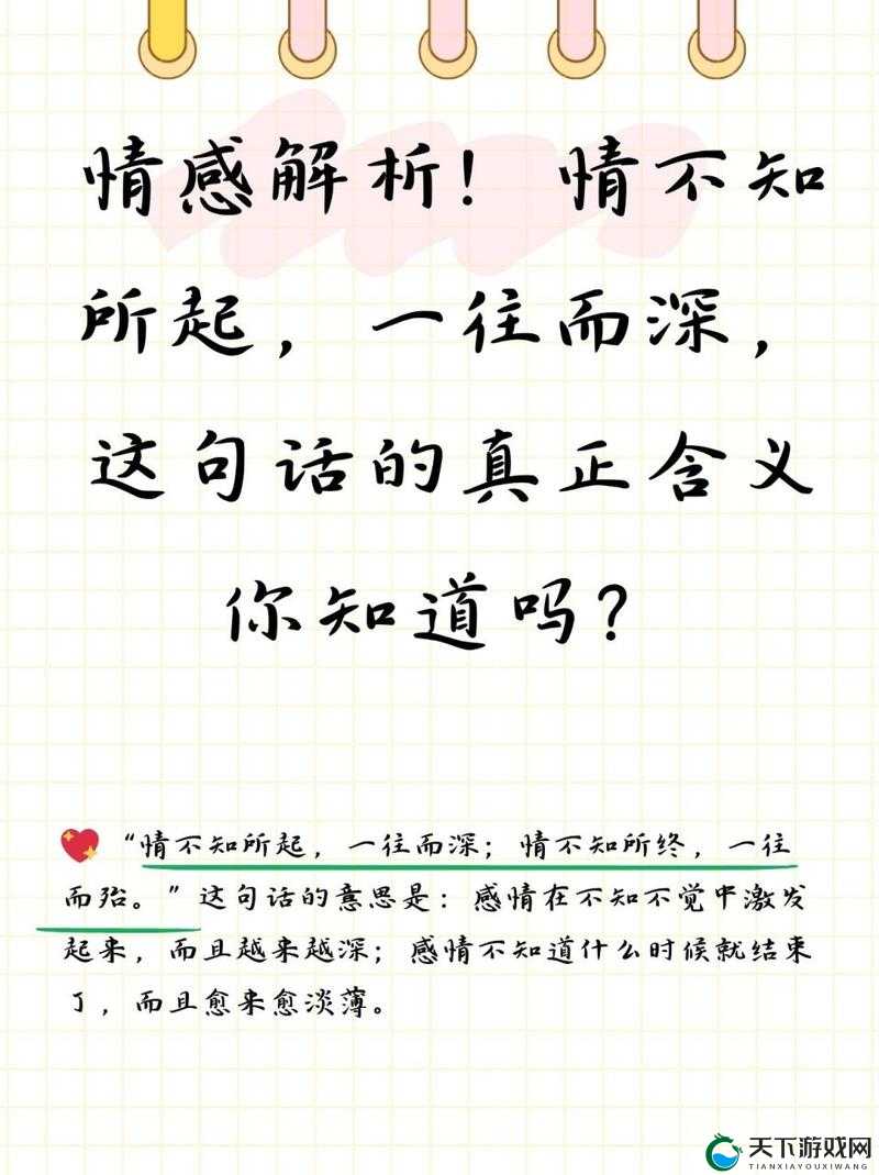 情不知所起,一往而深:探索爱爱爱 xxx 的无尽奥秘