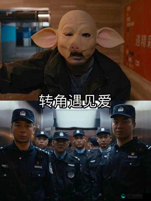 呱呱呱视频在线观看精彩不断等你来探索