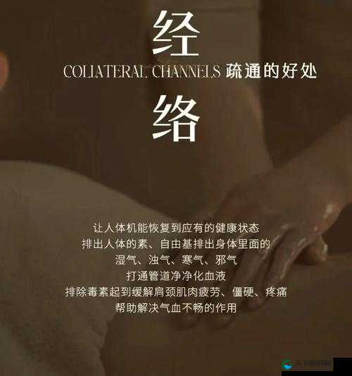 亚洲日韩按摩：舒缓疲劳的绝佳选择