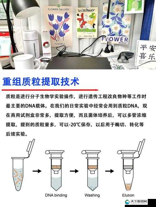 zhangjinyu 提取:深度剖析其背后的原理与应用