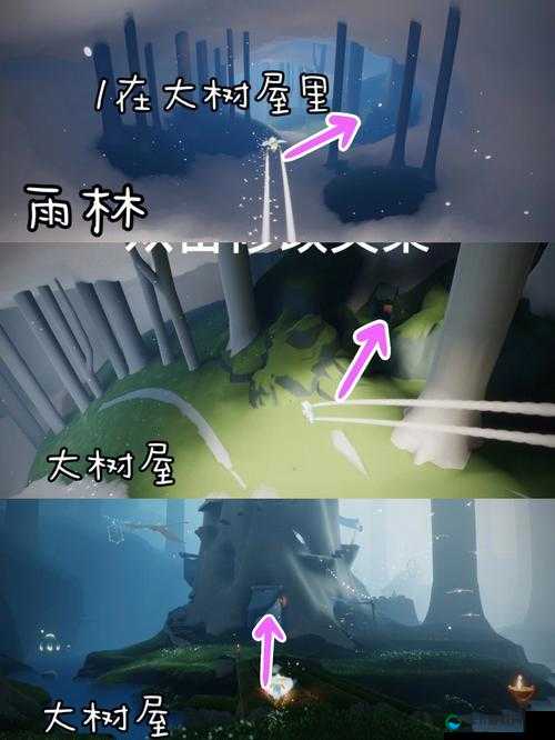 光遇荧光小菇位置分享，资源管理的高效艺术