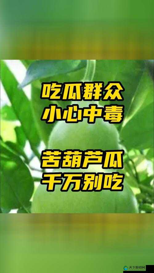 91 吃瓜中心-吃最新最火的瓜：娱乐热点全覆盖，带你吃瓜第一线