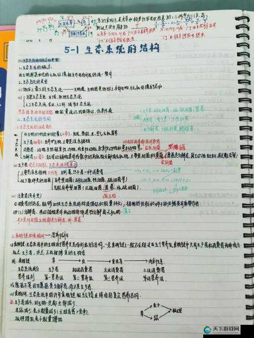 生物老师的亲身教学：独特视角下的知识传递与探索之旅