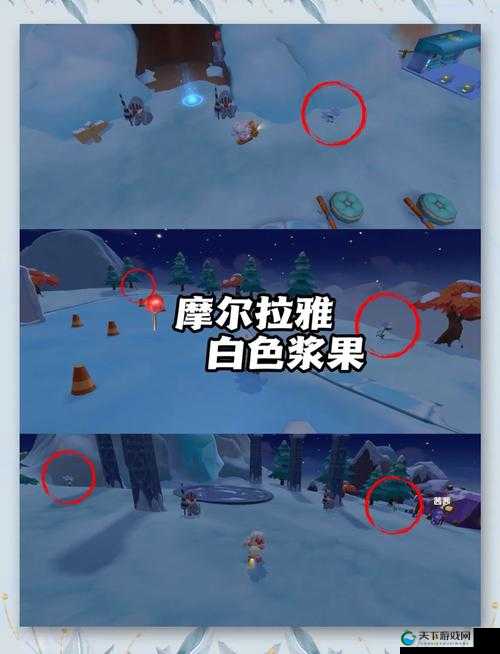 摩尔庄园手游葡萄架获得攻略全解析
