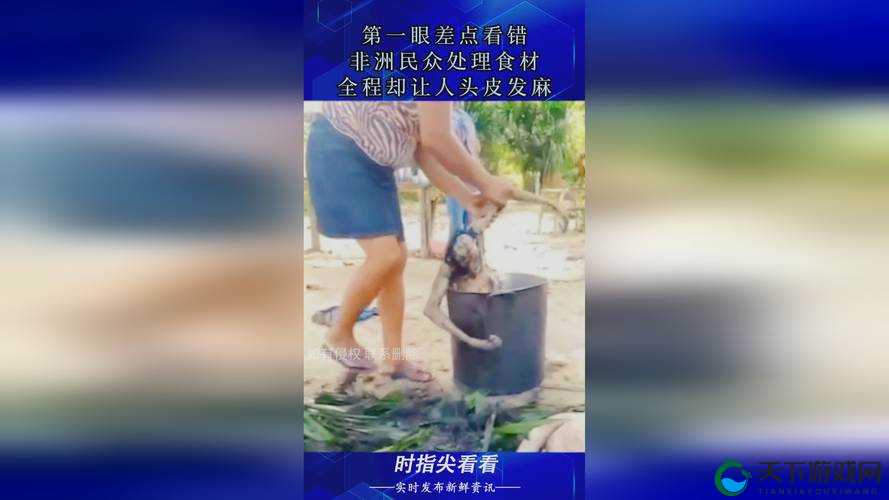 911 红领巾爆料吃瓜上海化学老师事件详情