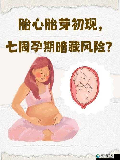 妊娠学院 2.5 ：开启全新妊娠期科学指导之旅