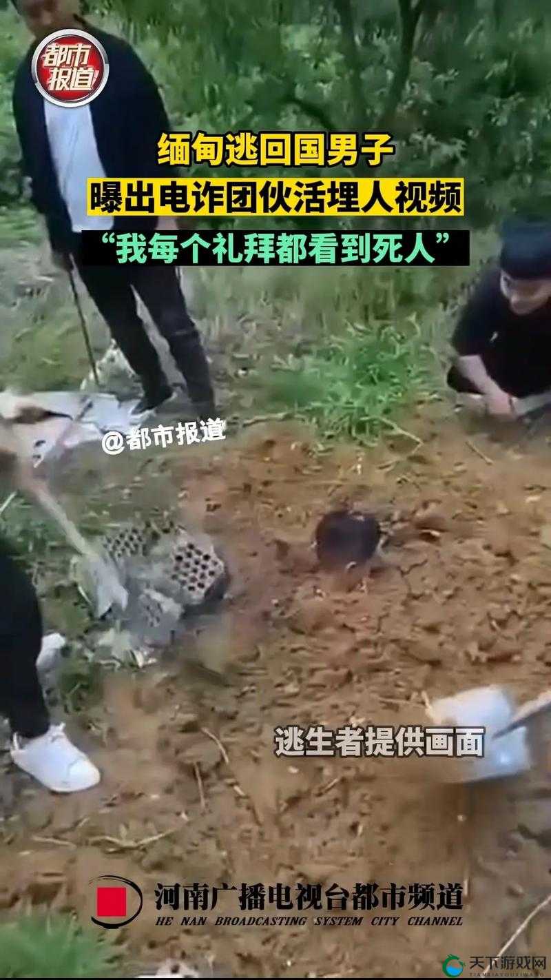魅狐直播恐怖网站 LOMANDO 相关信息及深度剖析
