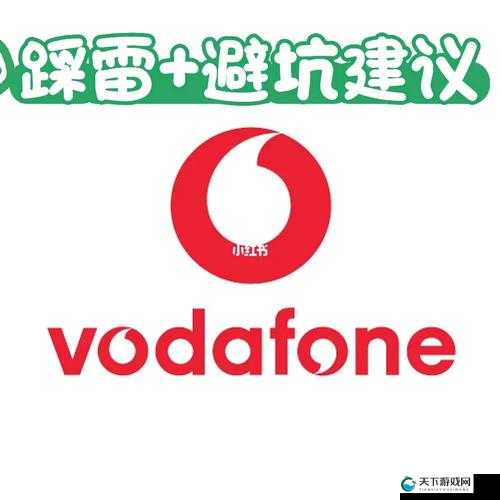 欧美VODAFONEA18HD：关于它的详细介绍与功能解析